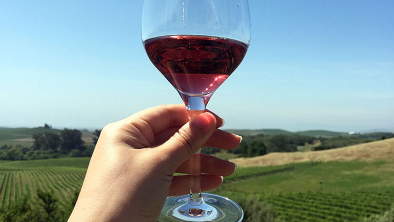 Enjoy the rose and the views at Artesa Winery. // © 2016 Valerie Chen