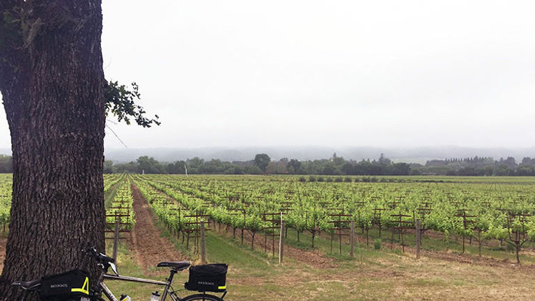Backroads’ California Wine Country cycling tour takes active clients through Napa and Sonoma. // © 2016 Valerie Chen