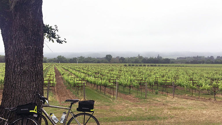 Backroads’ California Wine Country cycling tour takes active clients through Napa and Sonoma. // © 2016 Valerie Chen