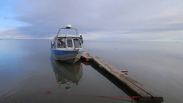 Local Ketil Reitan takes travelers on his boat to see the polar bears, which can be found on sandbars near shore. // © 2017 Mindy Poder
