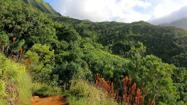 Kalalau Trail_PT 2