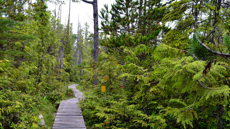 West Coast Trail_PT 9