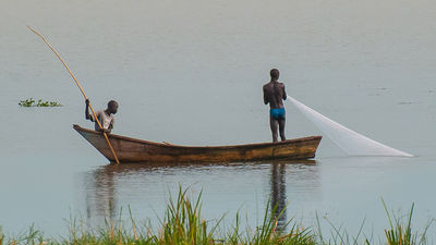 The Victoria Nile, a river which begins in Uganda, forms the upper section of the Nile River and squeezes through Murchison Falls. // (c) Bob Demyan