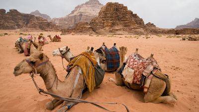 A new map for tourists helps direct visitors to community businesses, as well as to The Jordan Trail, which runs through Wadi Rum. // © 2018 Getty Images