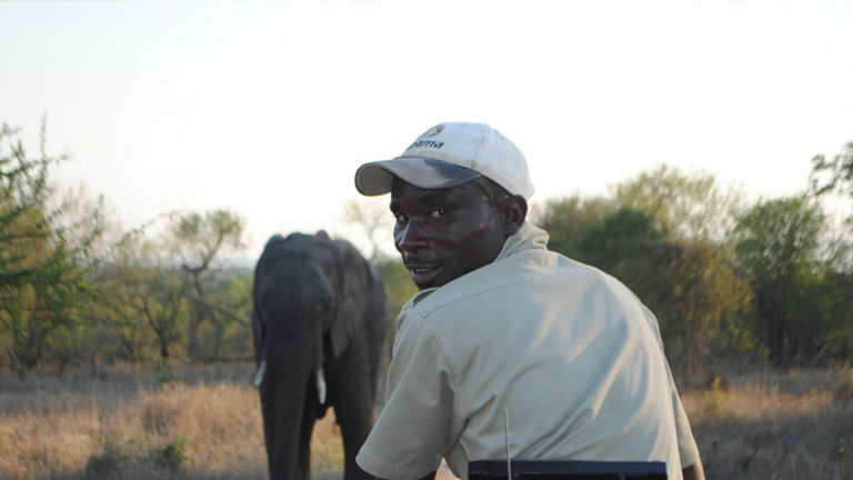 Game trackers have a keen eye for spotting wildlife in the bush.  // © 2013 Skye Mayring