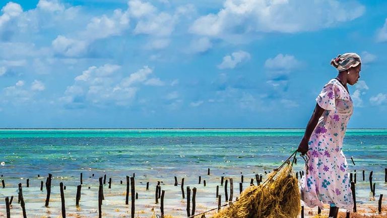 Zanzibar is an ideal add-on to a Kenya or Tanzania safari. // © 2013 Bob Demyan