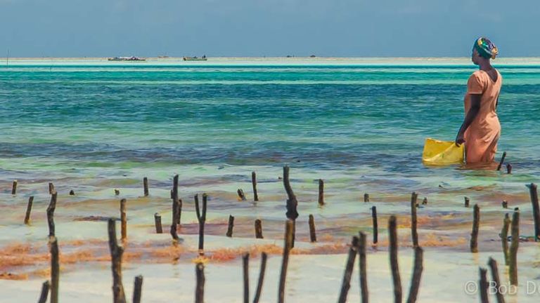 Zanzibar is known for being a quiet retreat, away from the hustle and bustle. // © 2013 Bob Demyan
