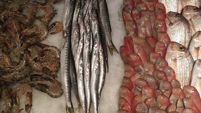 Upon entering a Lebanese seafood restaurant, clients are asked to pick out their fish for the night. // © 2017 Giselle Abcarian