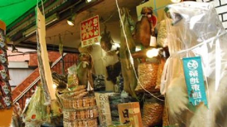 Tsukiji Fish Market, Tokyo