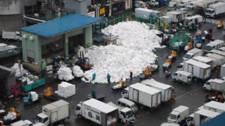 Tsukiji Fish Market, Tokyo