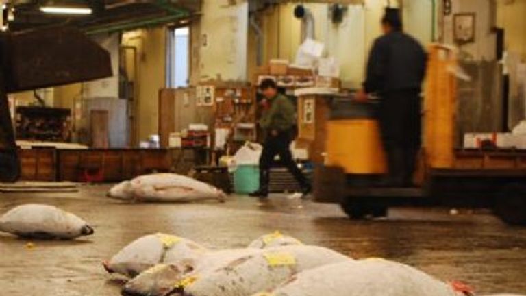 Tsukiji Fish Market, Tokyo