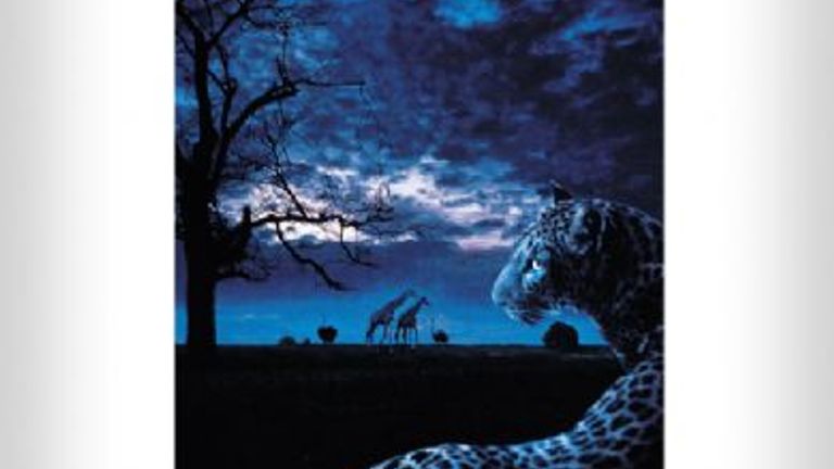 Singapore’s Night Safari is the world’s first nighttime zoo and features more than 1,200 animals from more than 100 exotic species. // © 2008 Singapore Tourism Board