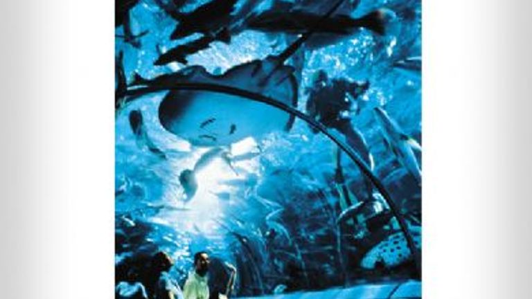 Underwater World Singapore is one of Asia’s most popular oceanariums and is home to some 2,500 marine creatures from 250 species. // © 2008 Singapore Tourism Board