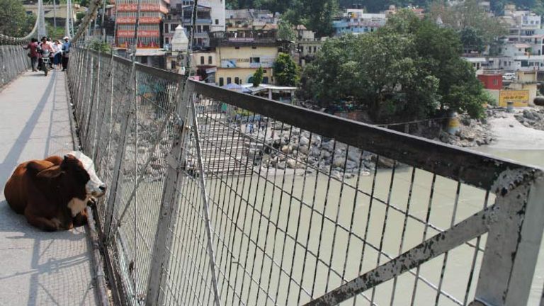 You never know what you might find on the two bridges that bisect Rishikesh. // © 2014 Mindy Poder