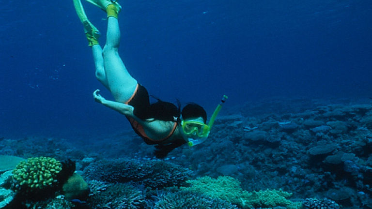 Suggest diving in Okinawa, Japan, to adventurous clients. // © 2016 Japan National Tourism Organization