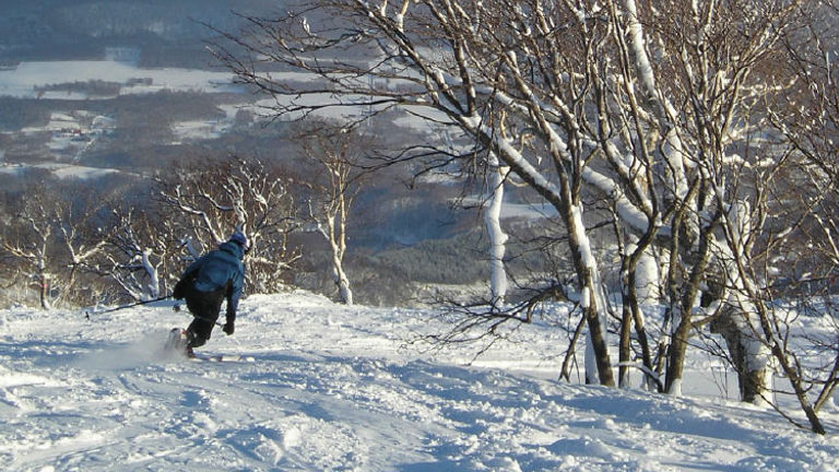 Hokkaido, Japan, is known for its powder snow and attracts skiers from around the world. // © 2016 Japan National Tourism Organization