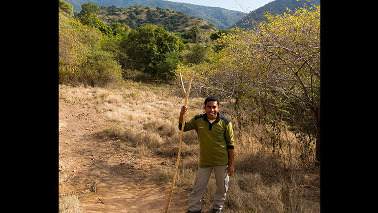 Guides at Komodo carry a long, narrow forked stick that resembles the Komodo dragon’s tongue. // © 2017 Mindy Poder