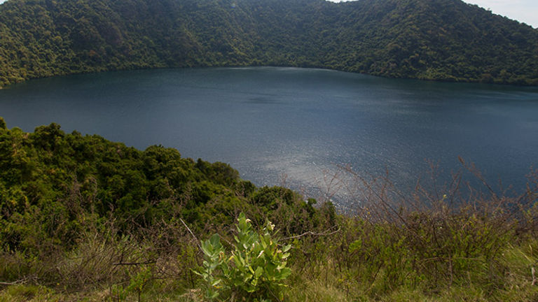 Satonda Island is inhabited by a colony of fruit bats, and is the site of a crater lake and caldera hike. // © 2017 Mindy Poder