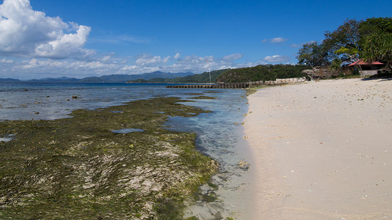 Those who walk the length of Gili Nanggu might find a private beach. // © 2017 Mindy Poder