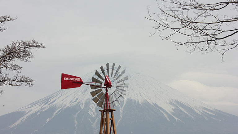 Fuji_Makaino Farm2