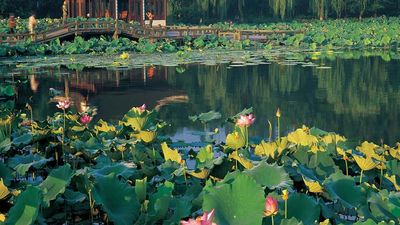 West Lake, home to a number of pagodas and arched bridges, is one of many must-see attractions in Hangzhou, China. // © 2014 Hangzhou Tourism Commission