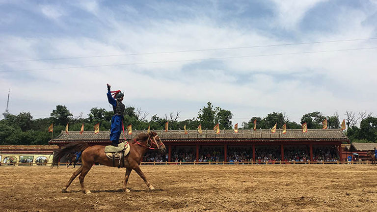 Millennium City Park Horse Show