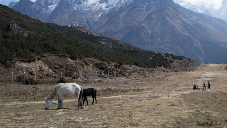 Friendly children, cute animals and awesome views still greet trekkers at every turn. // © 2015 Mindy Poder
