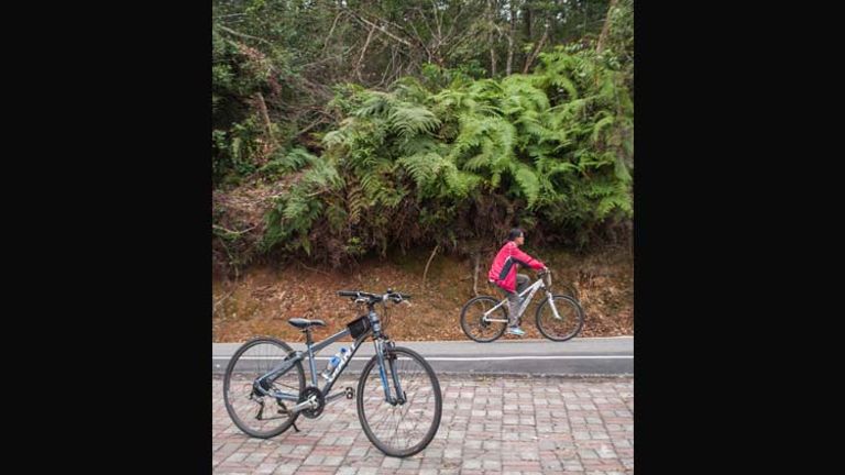 Biking the 19-mile perimeter of Sun Moon Lake is a popular year-round activity. // © 2014 Mindy Poder