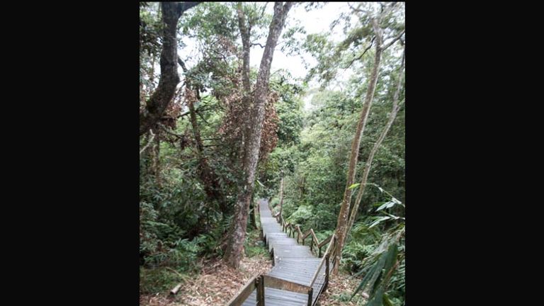 The Tutingzai Trail is situated where Shabalan Mountain and Qiedonglun meet at the site of an old Thao village. // © 2014 Mindy Poder