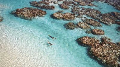 An all-inclusive, luxury eco-resort, The Brando will open on Tetiaroa, Marlin Brando's private island in French Polynesia. // (c) 2014 The Brando