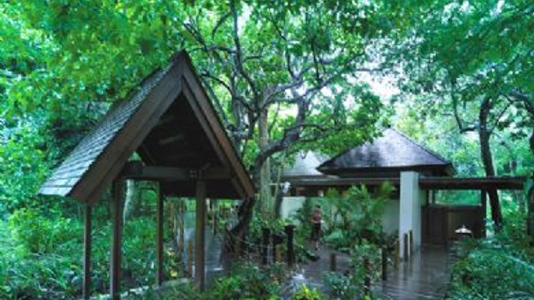 Private bures are tucked away in the rainforest. // (c) 2009 Shangri-La Hotels & Resorts