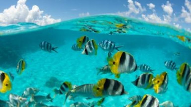 Le Maitai Rangiroa