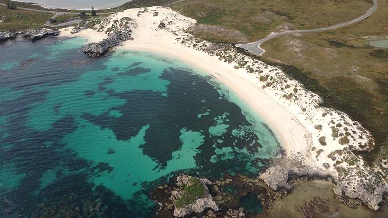 Only a short ferry ride from capital Perth, Rottnest Island offers great snorkeling and diving. // © 2015 Tourism Western Australia