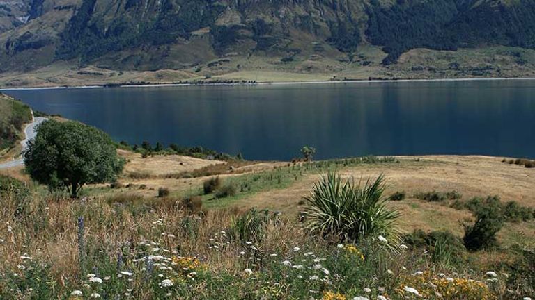 Langford booked her clients at Wilderness Lodge Lake Moeraki, which offers twice-daily nature activities led by ecologist guides. // © 2014 Thinkstock/Scott Hailstione