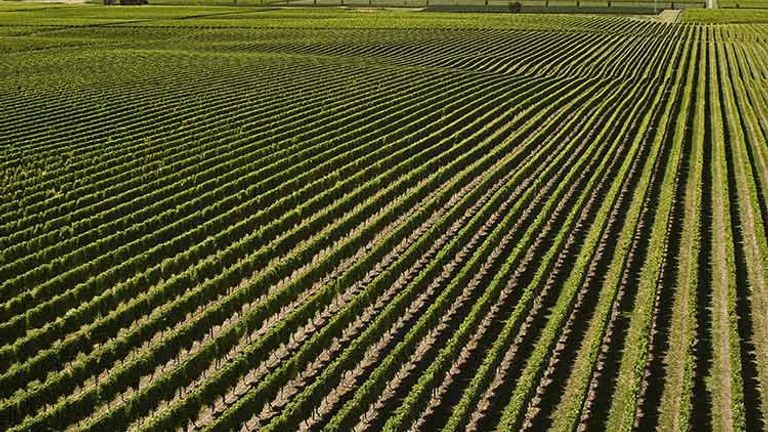 They then took a scenic cruise to the South Island, where they stayed at the Old Saint Mary's Convent Vineyard Retreat in the heart of Marlborough's wine growing area. // © 2014 Thinkstock/heikeinnz
