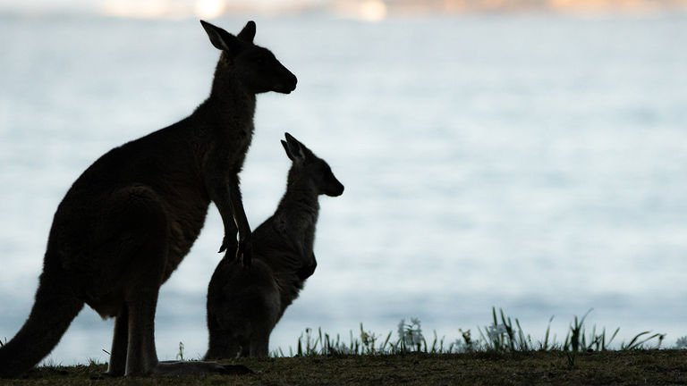 Southern New South Wales (NSW) is relatively unexplored, but located only three hours south of Sydney, Australia.