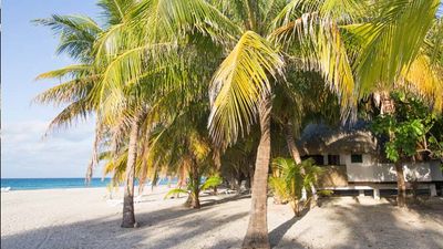 An alternative to luxury resorts, Tahitian guesthouses (also known as pensions) are usually located in stunning locations but at a fraction of the price. // © 2017 Mindy Poder