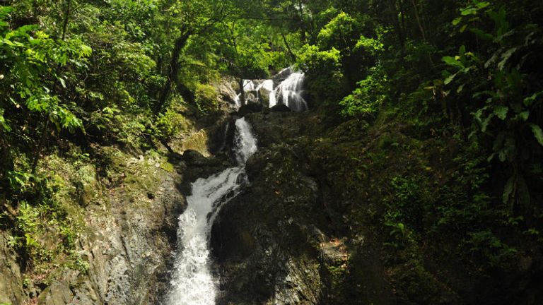 Travelers can swim beneath Argyle Falls, Tobago’s highest waterfall. // © 2016 Trinidad and Tobago Tourism Development Company Limited