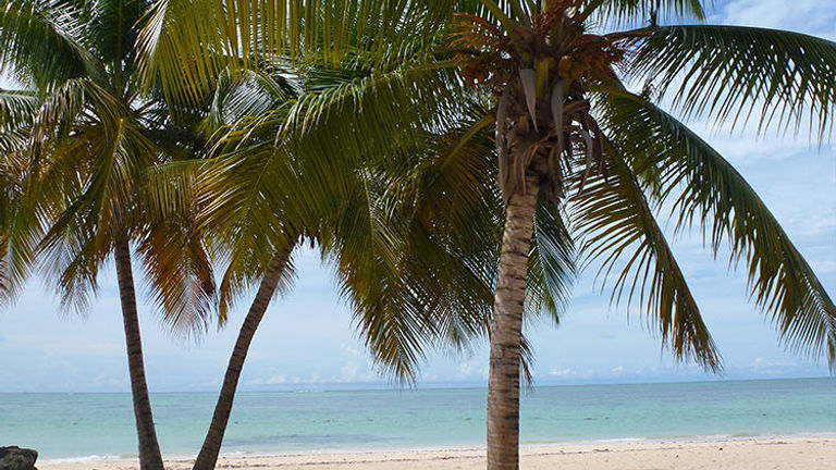 Soak up some tranquility at Pigeon Point Beach on Tobago. // © 2016 Michele Peterson