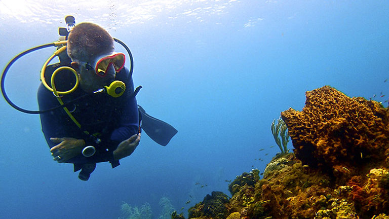 Scuba divers will love the waters off Montserrat. // © 2016 Courtesy of Montserrat Tourism by Scuba Montserrat