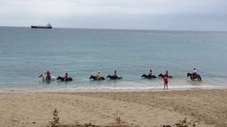 At Seaside Nature Park on St. Martin, guest can actually take the horses into the surf. // (c) 2013 Kenneth Shapiro