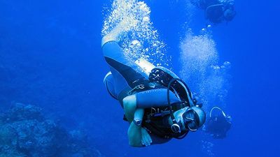 Certified divers will discover beautiful reefs and a vast array of marine life during a vacation in the Caribbean. // © 2016 Dan Orr