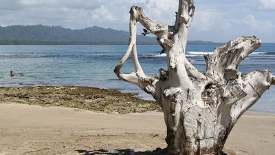 The Caribbean coast is a lesser-known region of popular destination Costa Rica, but has several beautiful areas — including Puerto Viejo’s waterfront — to explore. // © 2014 LatinFlyer.com