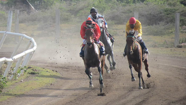 Horse racing at Indian Castle racetrack will return this winter. // © 2016 Nevis Horse Racing