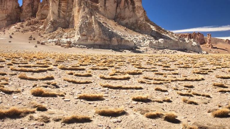 The Atacama Desert // © 2015 Thinkstock