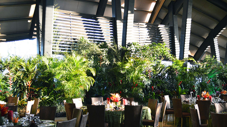 An on-site event space transformed into a rainforest for a private occasion. // © 2015 Valerie Chen