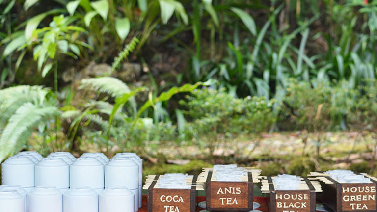 Drinking coca tea can help alleviate altitude sickness. // © 2015 Valerie Chen