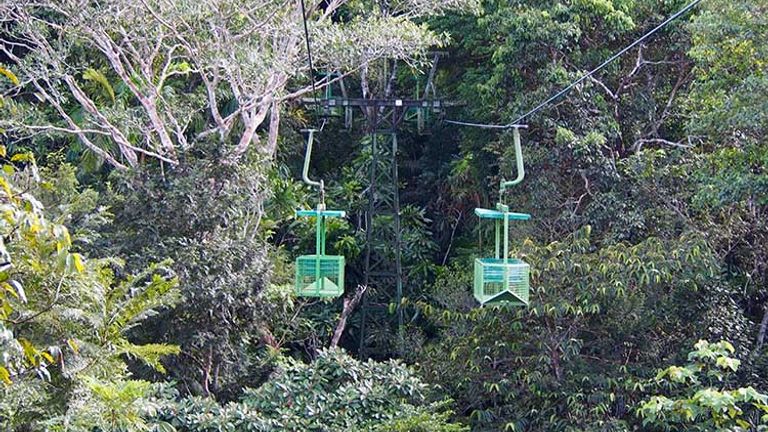 Local operator and hotel partner Gamboa Tours offers an aerial tram ride through the rainforest. // © 2016 Zorianna Kit