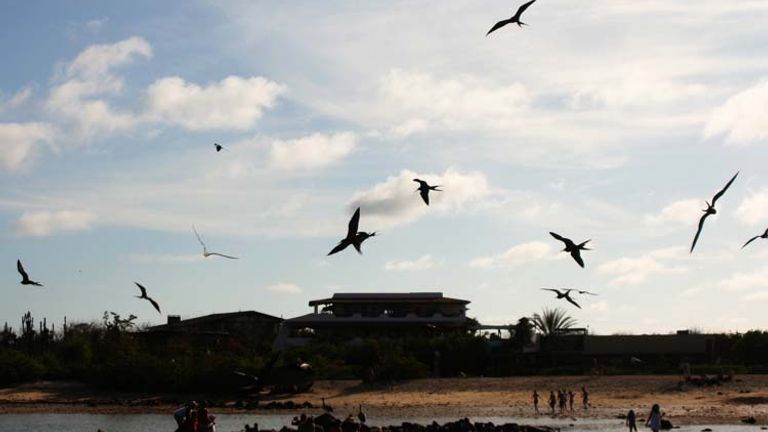 Birds circle overhead as fishermen gut fish among onlookers. // © 2013 Richard Lowe