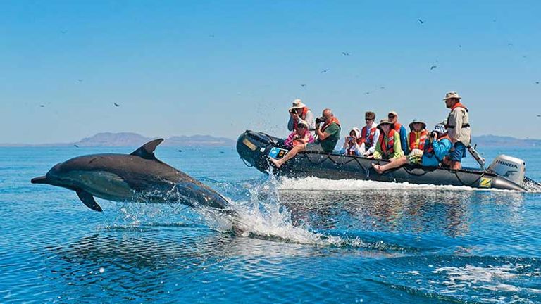 Wildlife encounters are a huge draw. // © 2014 Lindblad Expeditions